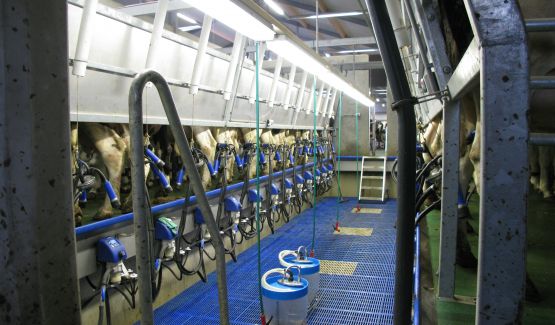 Bereken direct uw winst